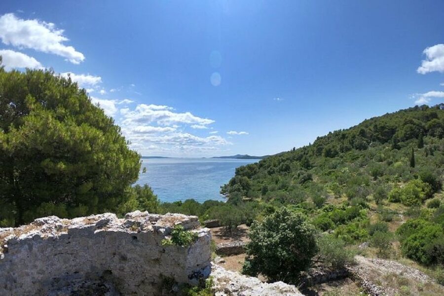 From Zadar: Half/Full Day Sailing Tour - Who will enjoy this trip most?