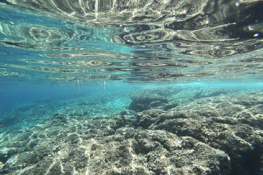 From Zadar: Half/Full Day Sailing Tour - Crossing the Zadar Channel to Ugljan