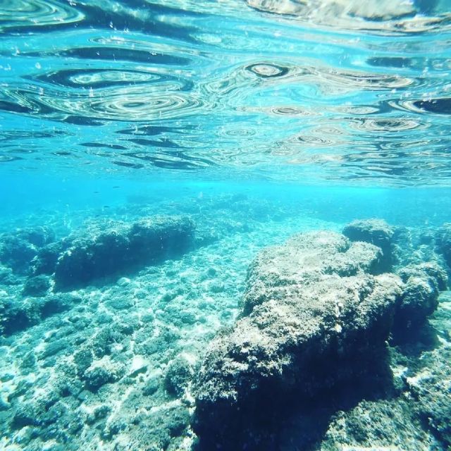 From Zadar: Private Half Day Sailing Tour - What this sailing trip is really like
