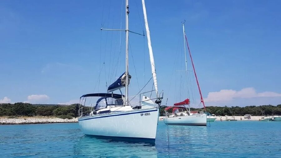 From Zadar: Private Half Day Sailing Tour - Morning or afternoon: which time should you choose?