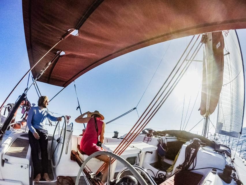 Fuerteventura: Sailing with Snorkeling and Dolphin Watching - Who should book this sailing trip?