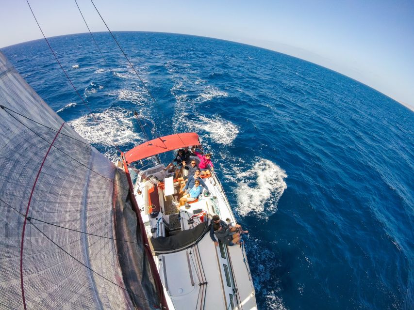 Fuerteventura: Sailing with Snorkeling and Dolphin Watching - Dolphin and whale watching without a tank of glass