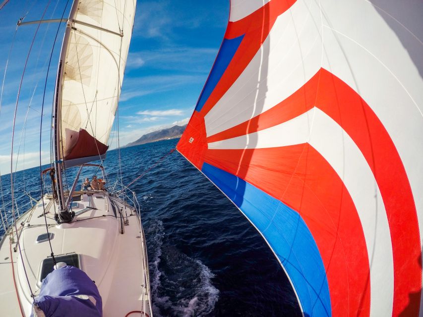 Fuerteventura: Sailing with Snorkeling and Dolphin Watching - Practical advice before you go