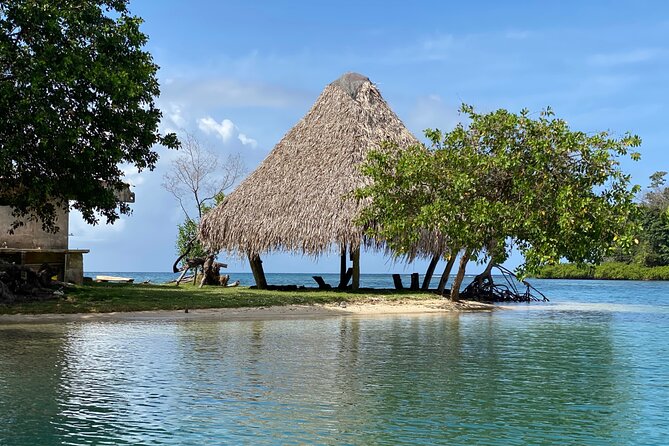 Full-Day Catamaran Sailing Caribbean Beaches with Snorkelling and Lunch - What to bring for a better day