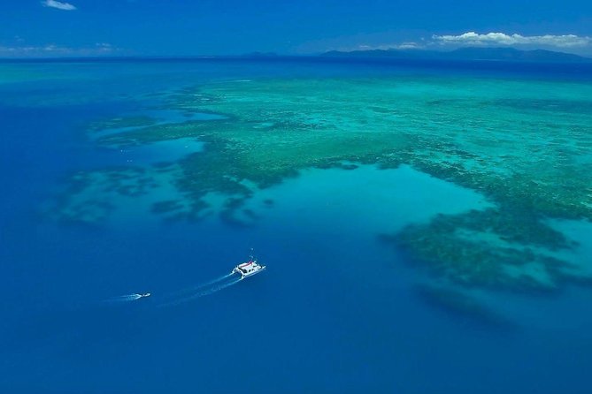 Full-Day Great Barrier Reef Sailing Trip from Cairns - Snorkelling at two different reef sites