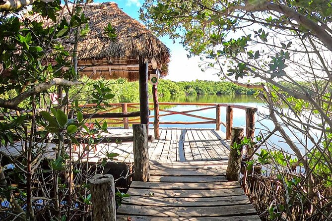 Full-Day Isla Contoy Sailing Nature Experience in Mujeres - Why Isla Contoy makes this sailing trip worthwhile