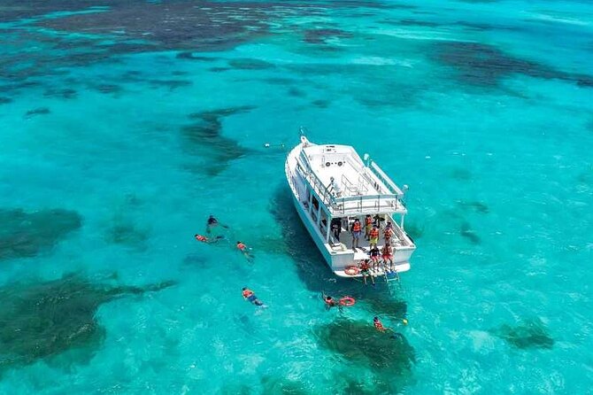 Full-Day Isla Contoy Sailing Nature Experience in Mujeres - One hour to explore Isla Mujeres