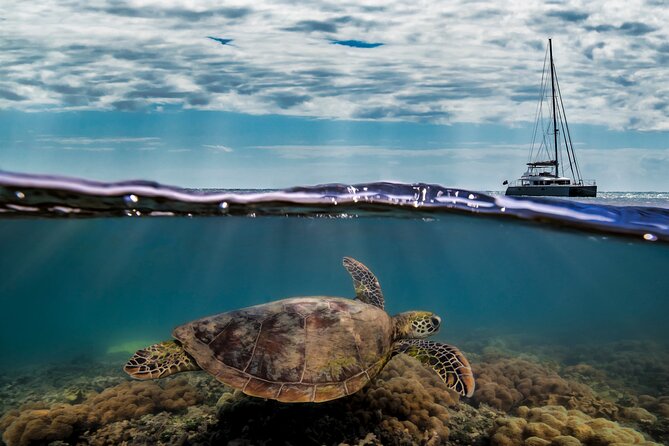 Full Day Low Isles Sailing & Snorkelling Cruise from Port Douglas - Weather can change the feel of the day