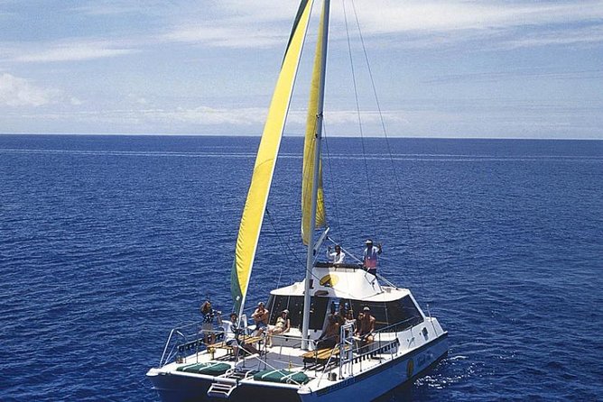 Full Day Oahu Bike, Hike, Sail and Snorkel Combo - The most important planning detail: getting home