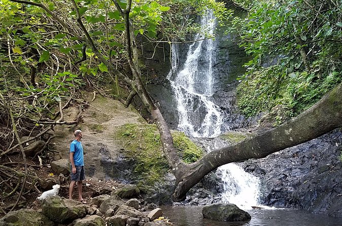 Full Day Oahu Bike, Hike, Sail and Snorkel Combo - Fitness, clothing, and group comfort