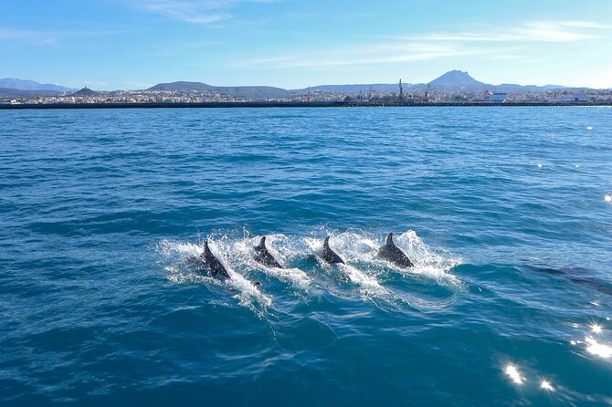 Full Day Private Luxury Escape Sailing - Returning to Heraklion between 5:00 and 6:00 p.m.