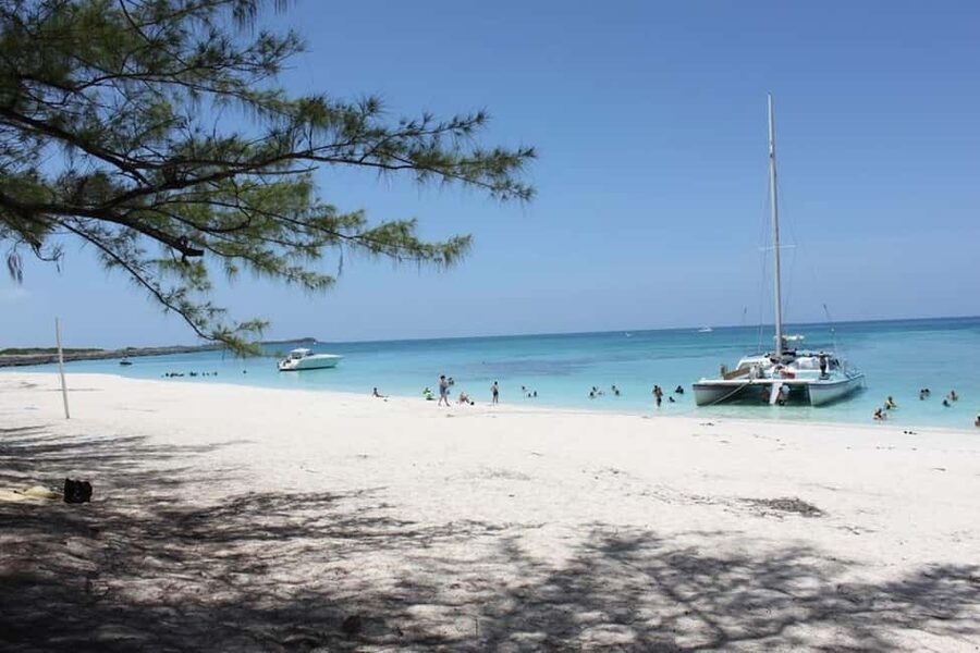 Full Day Sail and Snorkel with Turtles - Viewing turtles without disturbing them