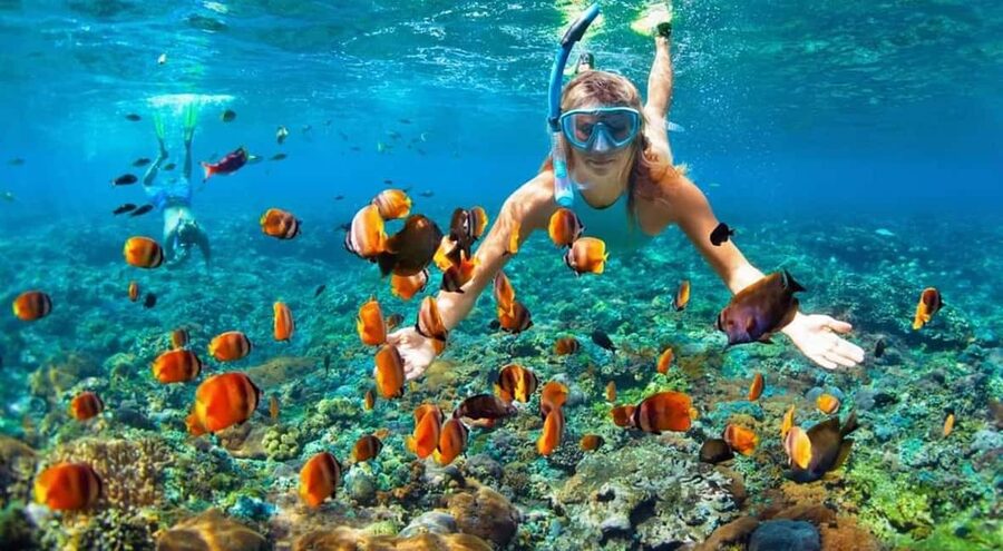 Full Day Sail and Snorkel with Turtles - The return sail through islands and cays