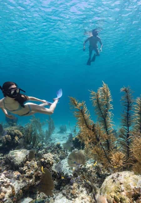 Full Day Sail and Snorkel with Turtles - Boarding at Paradise Island and cruising Nassau Harbor