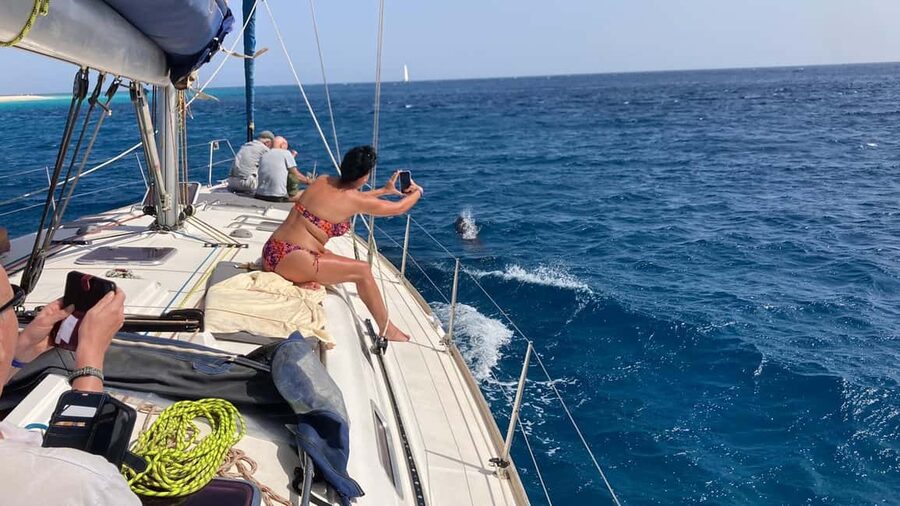 Full day sailing boat in Sal, Cape Verde:taste the Atlantic! - From Santa Maria Bay to Mount Lion