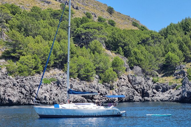 Full-day sailing excursion along the coast - The boat, the motor, and the feel of the day