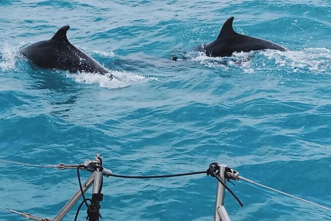 Full Day Sailing Tour Catania-Acitrezza - How the price compares with the day you get