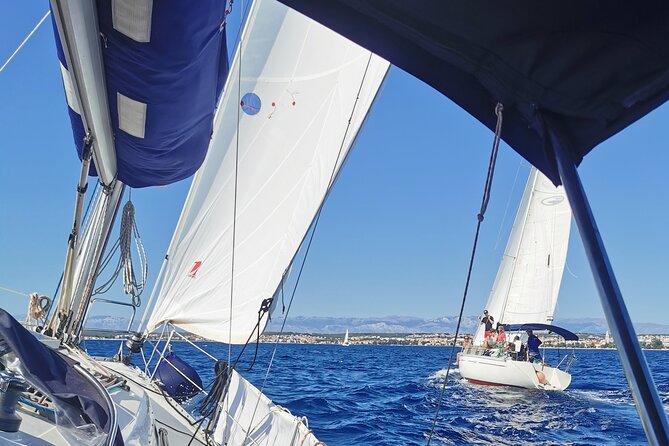 Full Day Sailing Tour To Elafiti Islands from Dubrovnik - Koločep: an easy first swim