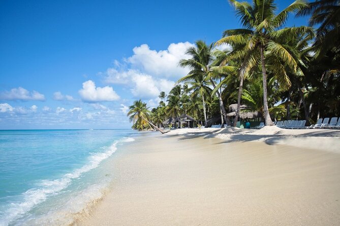 Full-Day Tour to Saona Island Sailing with Lunch and Beverages - Key points to know before you book