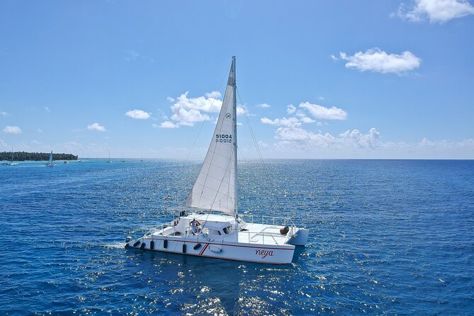 Full-Day Tour to Saona Island Sailing with Lunch and Beverages - From Punta Cana to Bayahibe: allow patience
