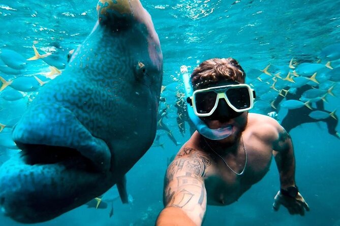 Full-Day Whitsunday Sail and Snorkel Adventure with Lunch - Banana boat rides and the social side of the day