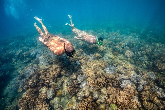 Full-Day Whitsunday Sail and Snorkel Adventure with Lunch - Lunch, snacks, and bringing your own drinks