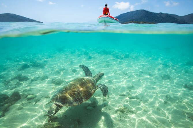 Full-Day Whitsunday Sail and Snorkel Adventure with Lunch - Who will enjoy this Whitsunday day most