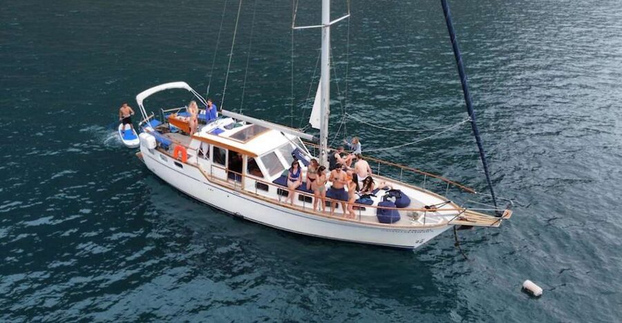 Funchal: Dolphin and Whale Watching Sailing Trip - Key points to know before booking