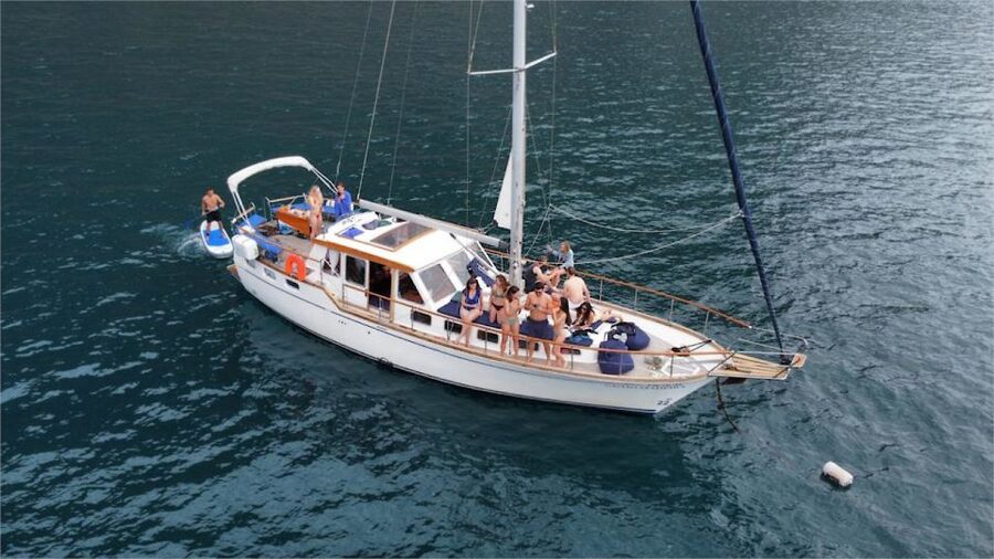 Funchal: Dolphin and Whale Watching Sailing Trip - Wildlife watching without a guarantee