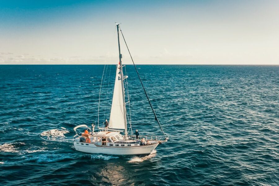 Funchal: Dolphin and Whale Watching Sailing Trip - Cabo Girão and the swimming stop