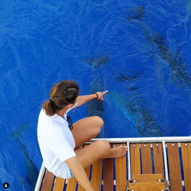 Funchal: Dolphin and Whale Watching Sailing Trip - Sailing south toward Cabo Girão