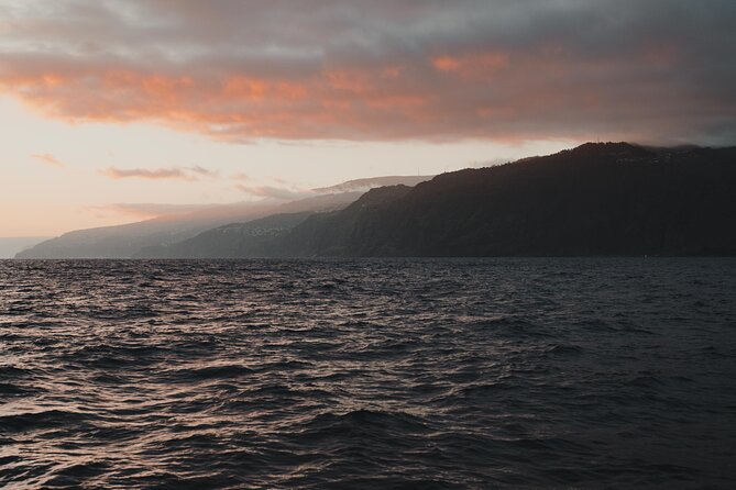 Funchal Sunset Sailing Private Tour - Why a Funchal sunset belongs on your Madeira plans