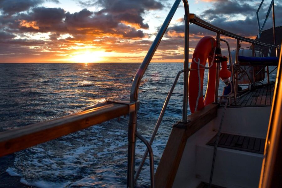 Funchal: Sunset Sailing Tour - Swimming beneath the 580-meter wall of Cabo Girão