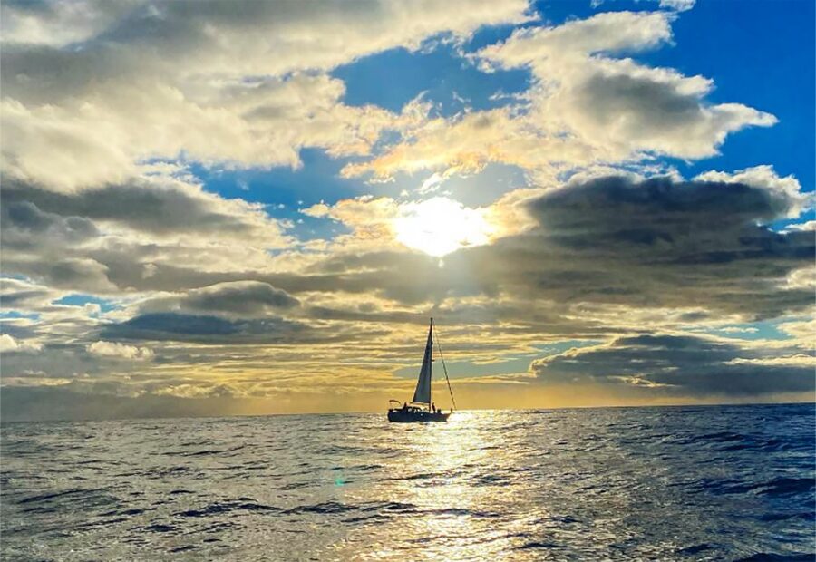 Funchal: Sunset Sailing Tour - Dolphins and whales, with no promise from the ocean