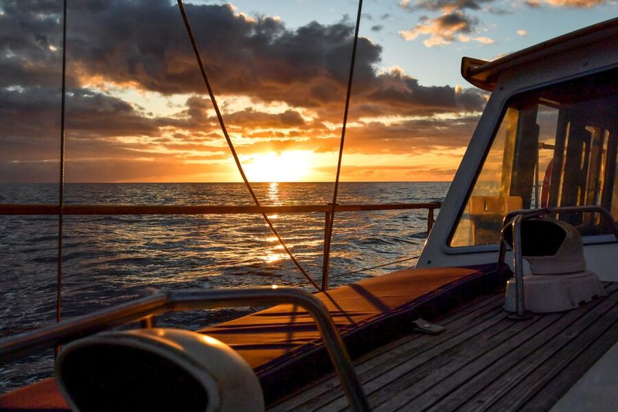 Funchal: Sunset Sailing Tour - The crew turns a simple boat ride into an evening out