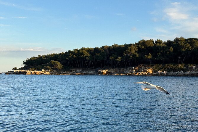 Golf Juan: Sunset Sailing Cruise with aperitif at the Island - What the $88 price includes