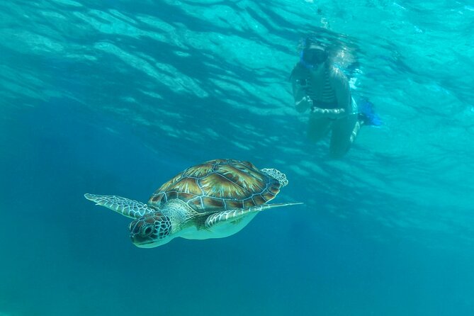Half-Day Luxury Sailing Experience in Tulum with Open Bar - Weather, safety, and changed plans