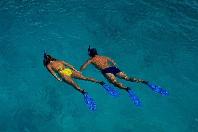 Half Day Oahu Combo Adventure: Bike, Sail and Snorkel - Viewpoints Above Honolulu