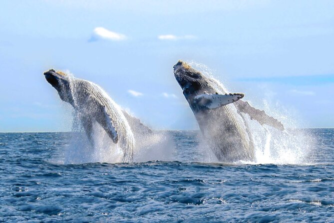 Half Day Private Sailing Cruise Puerto Vallarta with Snorkeling - Practical details that matter