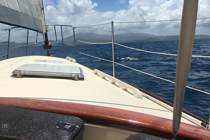 Half Day Sail and Snorkel with the Turtles - What makes this St. Thomas sailing trip worth considering