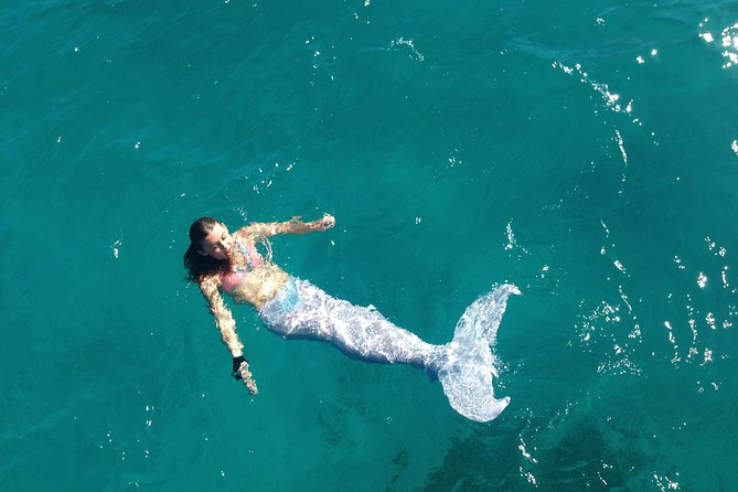 Half Day Sail and Snorkel with the Turtles - Is the $140 price a fair deal?