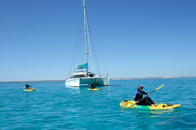 Half Day Sailing and Snorkeling Tour from Coral Bay - Who will enjoy this trip most?