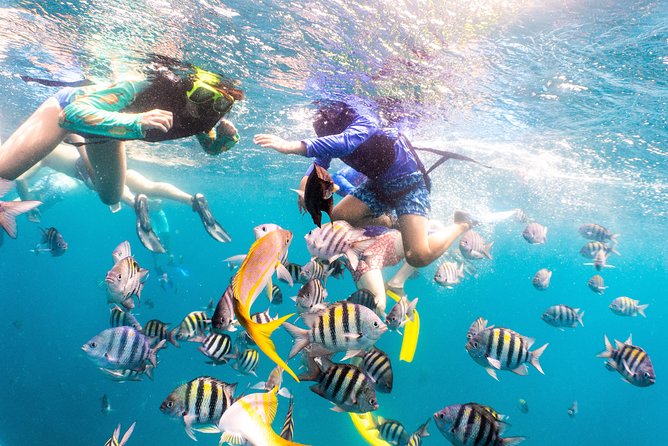 Half-Day Snorkel Sail Tour with Caribbean Lunch - Crew service makes the difference