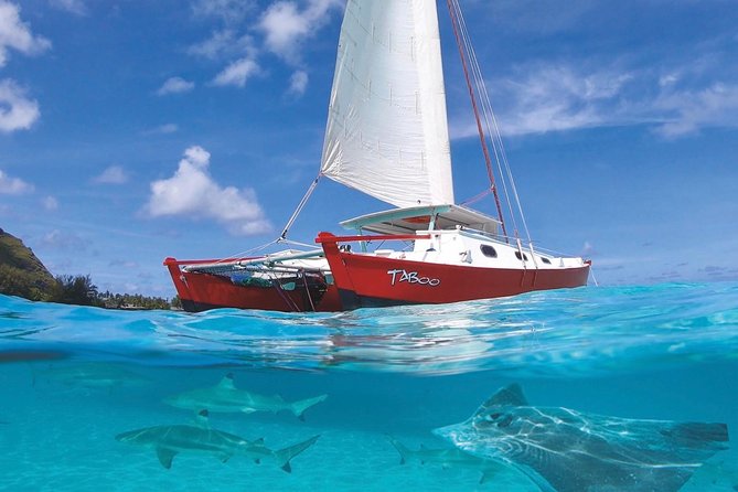Half Day Tour : Moorea Snorkeling & Sailing on a Catamaran named Taboo - Key points to know before you go