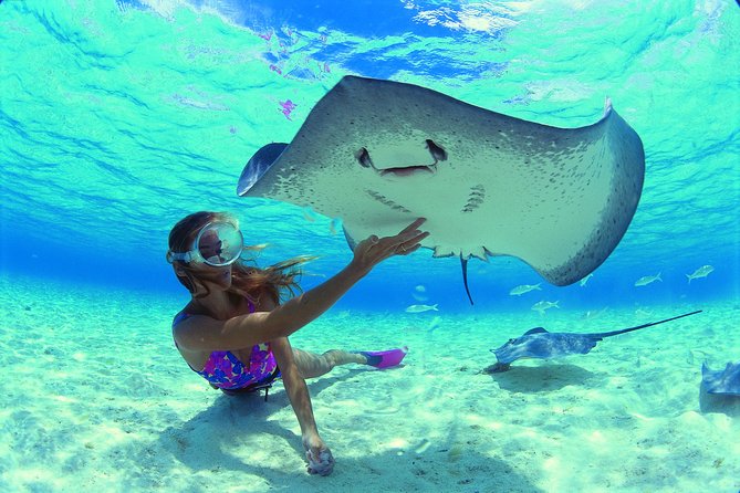 Half Day Tour : Moorea Snorkeling & Sailing on a Catamaran named Taboo - Who will enjoy the Taboo most?