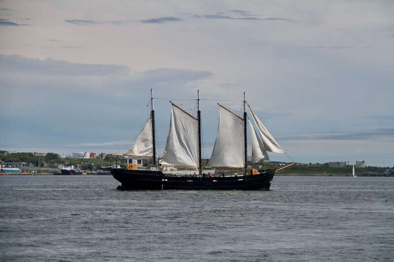Halifax: Tall Ship Harbor Sailing Cruise with Live Music - Key points before you book