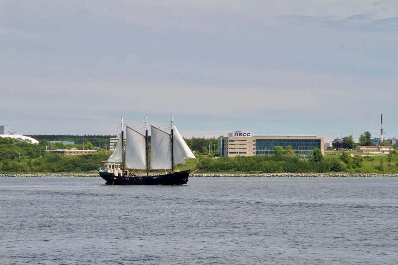 Halifax: Tall Ship Harbor Sailing Cruise with Live Music - Is $42 a fair price?