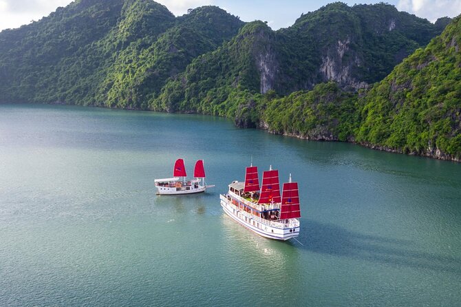 Halong Amazing Sail Luxury 1 Day Small Group Tour 7-Hour Cruising - Why this Halong Bay day cruise costs $199