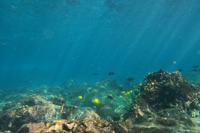 Hawaiian Sail and Snorkel in Kailua-Kona, Hawaii - A Guided Snorkel of 50 to 60 Minutes