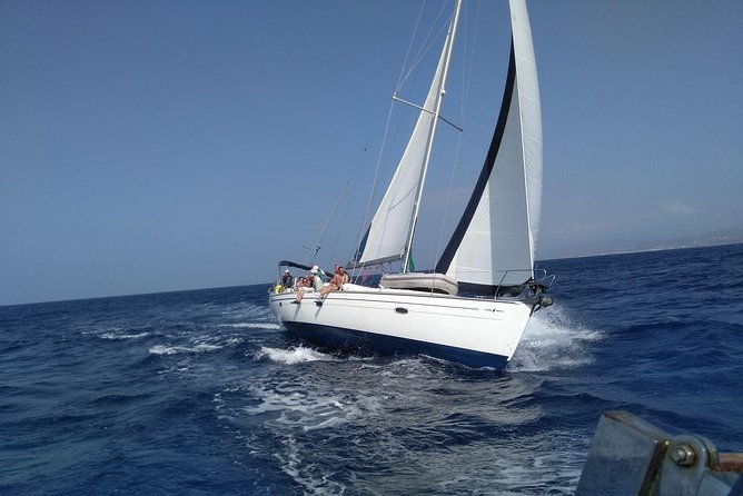 Heraklion | Half day Sailing cruise to Dia Island - Should you book the Dia Island sailing trip?